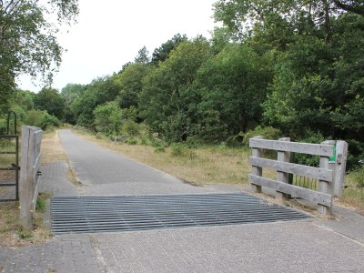 Holiday apartment Strand &Well - Environment photo 19