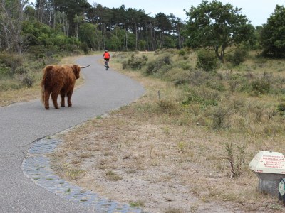 Holiday apartment Strand &Well - Environment photo 20