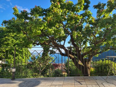 Holiday house Rustico Rubinetto - Outdoor photo 15