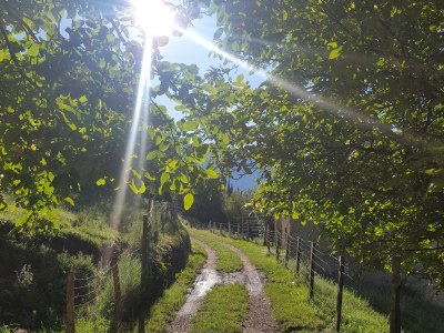 Holiday house Rustico Rubinetto - Environment photo 18