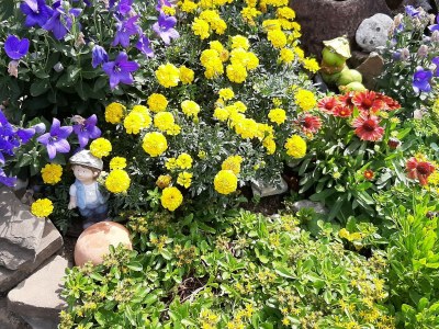 Holiday apartment Sina - Environment photo 22