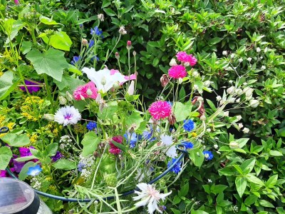 Holiday apartment Sina - Environment photo 24