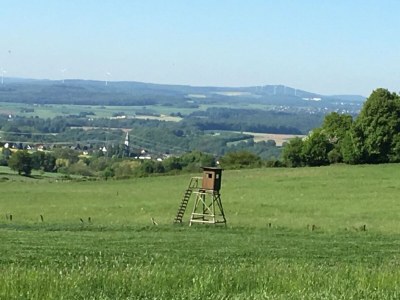 Apartment Terrassenwohnung im Westerwald - Environment photo 20