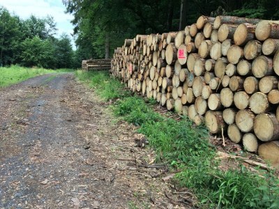 Apartment Terrassenwohnung im Westerwald - Environment photo 28
