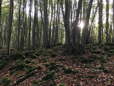 Apartment Terrassenwohnung im Westerwald - Outdoor photo 33