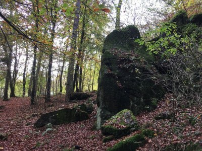 Apartment Terrassenwohnung im Westerwald - Outdoor photo 34