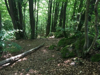 Apartment Wohnung mit Terrasse in Waldbrunn-Ellar - Outdoor photo 6