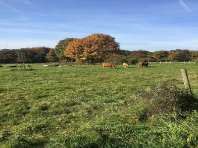 Apartment Wohnung mit Terrasse in Waldbrunn-Ellar - Environment photo 21