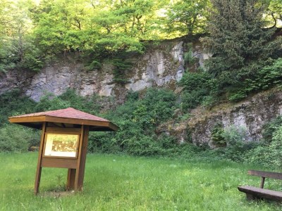 Apartment Wohnung mit Terrasse in Waldbrunn-Ellar - Environment photo 24