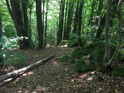 Apartment Wohnung mit Terrasse in Waldbrunn-Ellar - Environment photo 29