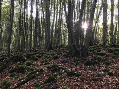 Apartment Wohnung mit Terrasse in Waldbrunn-Ellar - Environment photo 30