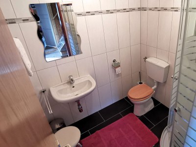 Alpine hut Mellitz Farmhouse - Features photo 18