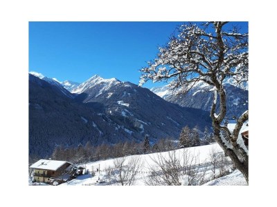 Alpine hut Mellitz Farmhouse - Environment photo 20
