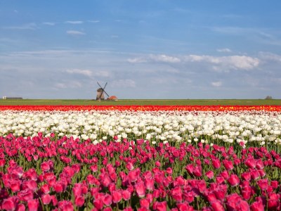 Holiday apartment Amalia - Environment photo 22