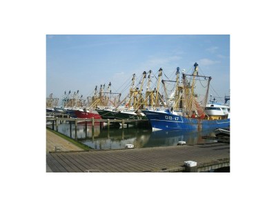 Holiday house Huijsmansverhuur Type C Comfort Plus Populier 8 holiday home - Environment photo 38