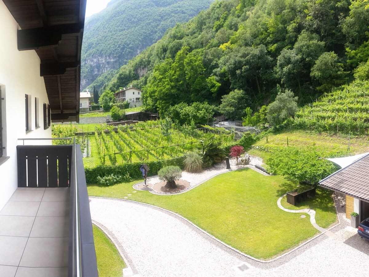 Holiday apartment East view of the Traubenhof Margreid. - Outdoor photo 5