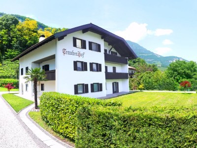 Holiday apartment East view of the Traubenhof Margreid. - Outdoor photo 4