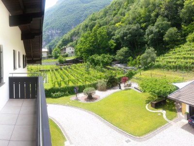 Holiday apartment East view of the Traubenhof Margreid. - Outdoor photo 5