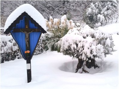 Holiday apartment East view of the Traubenhof Margreid. - Outdoor photo 6
