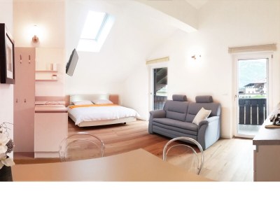 Holiday apartment East view of the Traubenhof Margreid. - Features photo 7