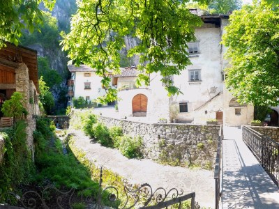Holiday apartment East view of the Traubenhof Margreid. - Environment photo 15
