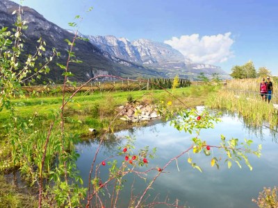 Holiday apartment East view of the Traubenhof Margreid. - Environment photo 17
