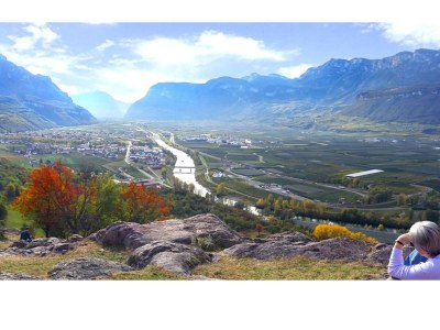 Holiday apartment East view of the Traubenhof Margreid. - Environment photo 18