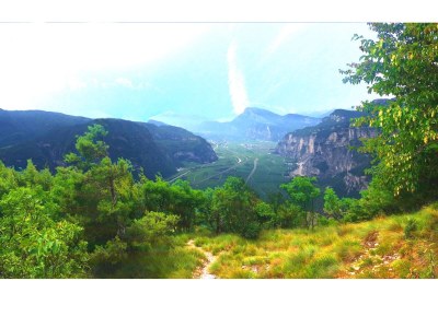 Holiday apartment East view of the Traubenhof Margreid. - Environment photo 19