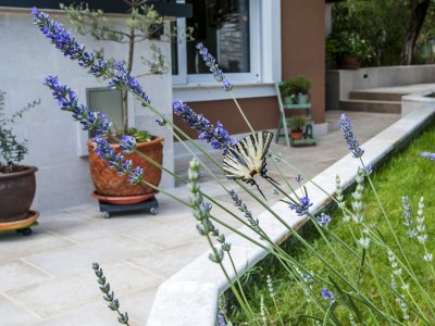 Holiday apartment Mamontov C - Features photo 18