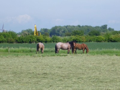 Holiday house SE06 Holiday Home Serooskerke - Environment photo 32