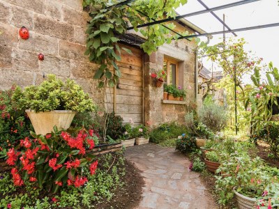 Holiday house Modern holiday home with swimming pool - Outdoor photo 17