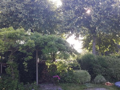 Holiday apartment The 'Kakkenisje' - Outdoor photo 13