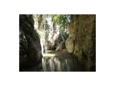 Apartment Villa Stephania - Environment photo 23