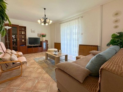 Apartment Apartment Ana - Features photo 7