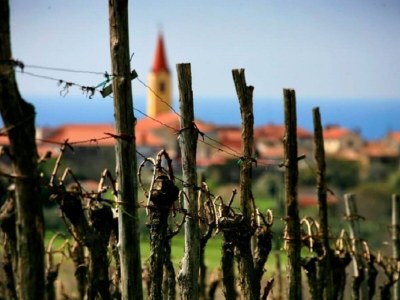 Apartment Apartment Ana - Environment photo 20