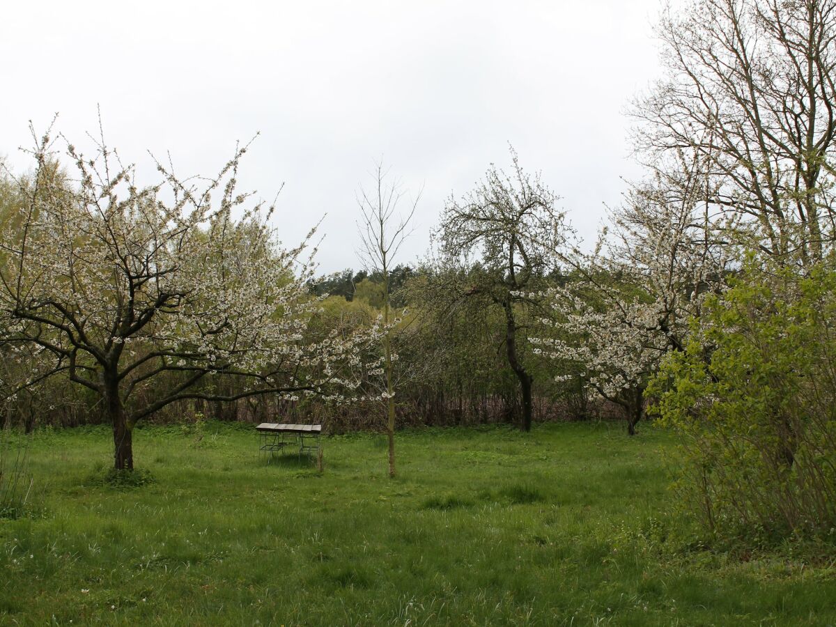Apartment Wohnung in Neuburg nahe Ostseestrand - Outdoor photo 2