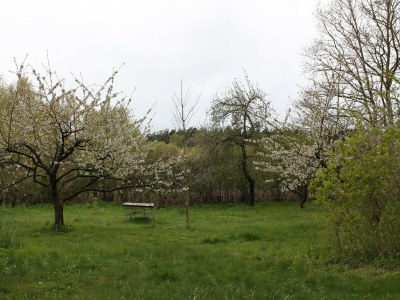 Apartment Wohnung in Neuburg nahe Ostseestrand - Outdoor photo 2