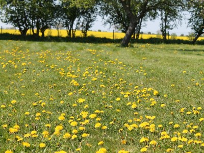 Apartment Wohnung in Neuburg nahe Ostseestrand - Outdoor photo 7