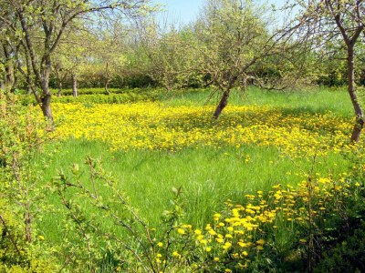 Apartment Wohnung in Neuburg nahe Ostseestrand - Outdoor photo 8