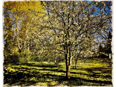 Apartment Wohnung in Neuburg nahe Ostseestrand - Outdoor photo 12