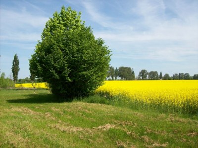 Apartment Wohnung in Neuburg nahe Ostseestrand - Environment photo 27