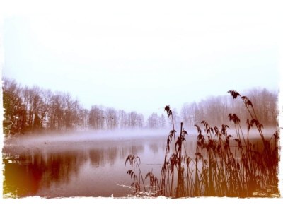 Apartment Wohnung in Neuburg nahe Ostseestrand - Environment photo 30