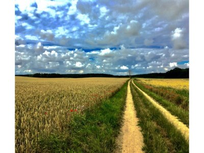 Apartment Wohnung in Neuburg nahe Ostseestrand - Environment photo 33