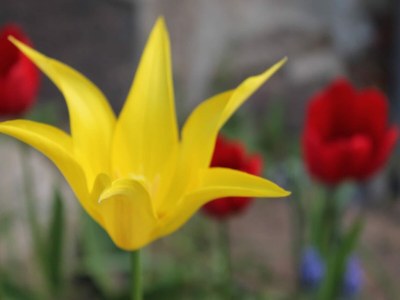 Apartment Wohnung in Neuburg nahe Ostseestrand - Outdoor photo 37