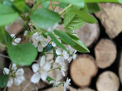 Apartment Wohnung in Neuburg nahe Ostseestrand - Outdoor photo 38