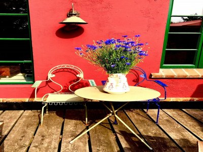 Apartment Wohnung in Neuburg nahe Ostseestrand - Outdoor photo 39