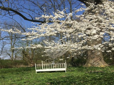 Apartment Wohnung in Neuburg nahe Ostseestrand - Outdoor photo 40