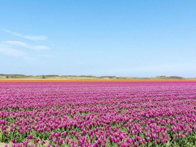 Apartment Wohnung in Callantsoog nahe Nordseeküste - Environment photo 20