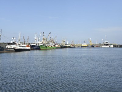 Apartment Apartment in Hippolytushoef for 2 Guest - Environment photo 24