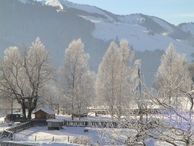 Holiday apartment im Haus Wenin an den Kitzbüheler Alpen - Environment photo 20